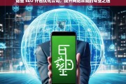 诸暨 SEO 外包优化公司，提升网站效能的专业之选，诸暨 SEO 外包优化公司，专业提升网站效能