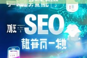 百度 SEO 推广排名全攻略，百度 SEO 推广排名全攻略