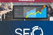 专业SEO与舆情优化服务公司