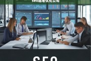 SEO优化公司，越老越有经验，助力企业持续增长