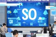 浏阳 seo 排名优化公司，助力企业网络腾飞的力量，浏阳 SEO 排名优化公司，企业网络腾飞的助力者