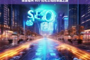 探索福州 SEO 优化公司的卓越之路，福州 SEO 优化公司的卓越探索之旅