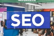 SEO平台吧优化公司，提升网站排名的专业解决方案