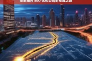 探索南充 SEO 优化公司的卓越之路，南充 SEO 优化公司的卓越探索之旅