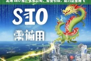 龙海 SEO 推广优化公司，专业引领，助力企业腾飞，龙海 SEO 推广优化公司，专业助力企业腾飞