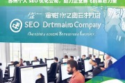 苏州个人 SEO 优化公司，助力企业腾飞的幕后力量，苏州个人 SEO 优化公司，企业腾飞的幕后助力者