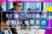 探索青岛 SEO 报价优化公司的卓越之路，青岛 SEO 报价优化公司的探索与卓越发展