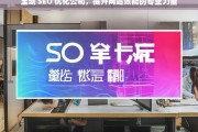 宝坻 SEO 优化公司，提升网站效能的专业力量，宝坻 SEO 优化公司，专业提升网站效能