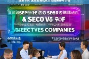 探索 SEO 见效付费优化公司的奥秘与价值，探索 SEO 见效付费优化公司的奥秘与价值，深入剖析