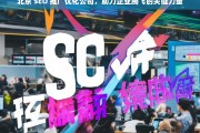 北京 SEO 推广优化公司，助力企业腾飞的关键力量，北京 SEO 推广优化公司，企业腾飞的助力器