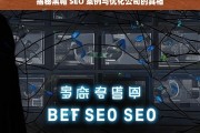 揭秘黑帽 SEO 案例与优化公司的真相，黑帽 SEO 案例与优化公司真相揭秘