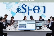 海瑶SEO优化公司，提升网站排名与流量的专业解决方案