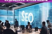 长沙 SEO 搜索优化公司，助力企业腾飞的关键力量，长沙 SEO 搜索优化公司，企业腾飞的助力者