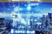 探索深圳 SEO 优化的奥秘与实践，深圳 SEO 优化的奥秘与实践探索