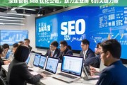 深圳营销 seo 优化公司，助力企业腾飞的关键力量，深圳营销 SEO 优化公司，企业腾飞的助力器