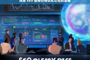 探索 SEO 查询价格优化公司的奥秘，探索 SEO 查询价格优化公司的奥秘之析