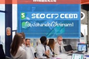 专业SEO频道优化公司，提升网站流量与排名的首选