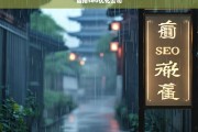 烟雨SEO优化公司，提升网站排名的专业解决方案