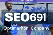 SEO691优化公司，专业提升网站排名与流量