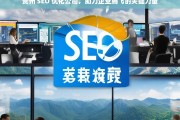 贵州 SEO 优化公司，助力企业腾飞的关键力量，贵州 SEO 优化公司，企业腾飞的助力关键