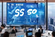 汉中 SEO 优化公司，助力企业网络腾飞的力量，汉中 SEO 优化公司，企业网络腾飞的助力者