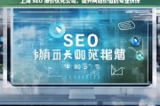 上海 SEO 报价优化公司，提升网站价值的专业伙伴，上海 SEO 报价优化公司，专业提升网站价值