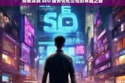 探索深圳 SEO 服务优化公司的卓越之路，深圳 SEO 服务优化公司的卓越探索之旅