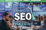 北京 SEO 外包优化公司，专业助力，成就网络辉煌，北京 SEO 外包优化公司，专业成就网络辉煌