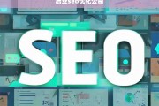 启业SEO优化公司，提升网站排名与流量的专业服务