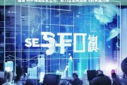 诸城 SEO 排名优化公司，助力企业网络腾飞的关键力量，诸城 SEO 排名优化公司，企业网络腾飞的助力器