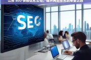 江苏 SEO 快排优化公司，提升网站排名的专业之选，江苏 SEO 快排优化公司——专业提升网站排名之选