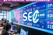 重庆 SEO 标准优化公司，提升网站排名与流量的关键，重庆 SEO 标准优化公司，网站排名与流量提升之钥