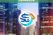 小夏SEO优化公司，提升网站排名与流量的专业解决方案