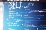 深入探究 SEO 推广原理与优化公司的关键作用，SEO 推广原理及优化公司作用探究