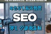 宁夏 SEO 培训优化公司，助力企业腾飞的专业力量，宁夏 SEO 培训优化公司，企业腾飞的助力者