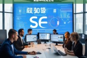 麦田SEO优化公司，提升网站排名与流量的专业解决方案