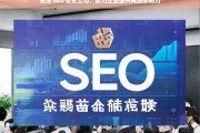 乐清 SEO 优化公司，助力企业提升网络影响力，乐清 SEO 优化公司，提升企业网络影响力的助力者