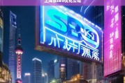 上海SEO优化公司，提升网站排名与流量的专业服务