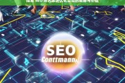 探索 SEO 排名系统优化公司的奥秘与价值，探索 SEO 排名系统优化公司的奥秘与价值