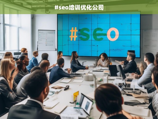 #seo培训优化公司