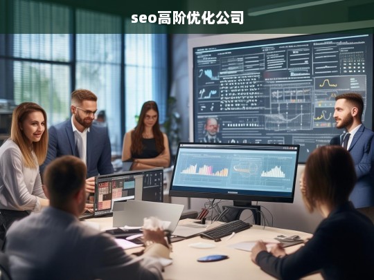 seo高阶优化公司