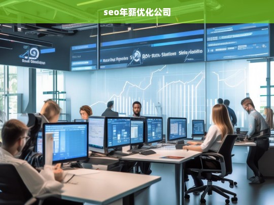 seo年薪优化公司