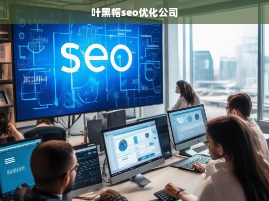 叶黑帽seo优化公司