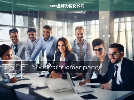 seo全称为优化公司