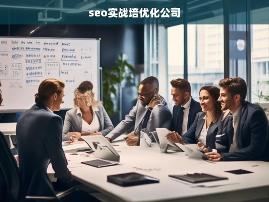 seo实战培优化公司