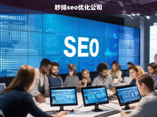 秒排seo优化公司