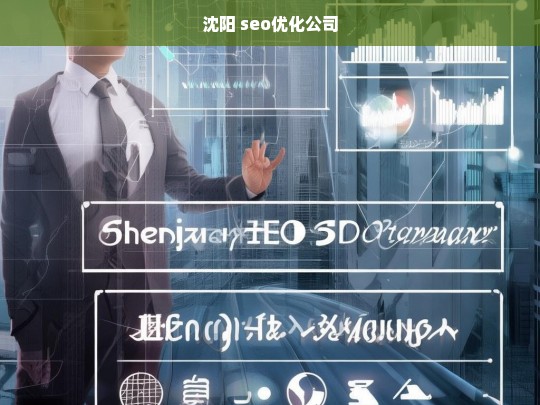 沈阳 seo优化公司