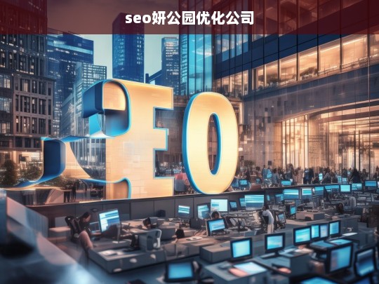 seo妍公园优化公司