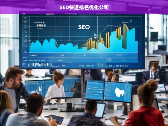 SEO快速排名优化公司