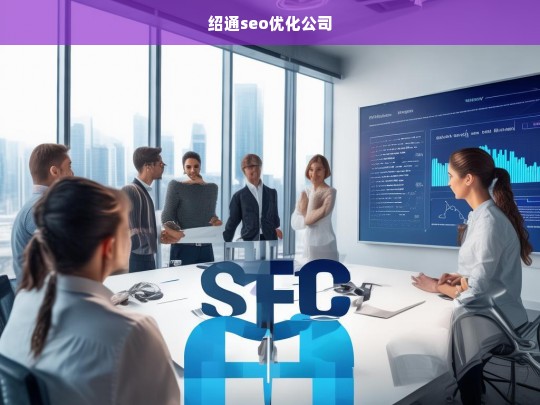 绍通seo优化公司